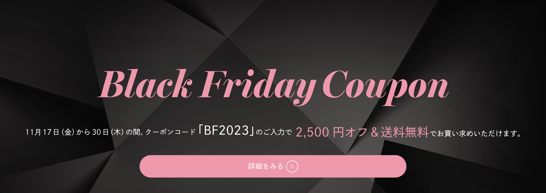 2023 BLACK FRIDAY COUPON